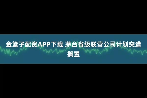 金篮子配资APP下载 茅台省级联营公司计划突遭搁置