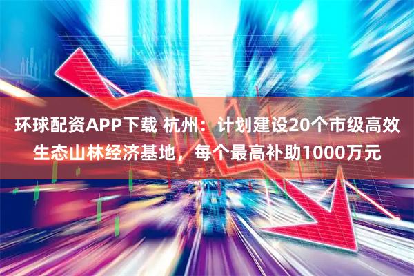 环球配资APP下载 杭州：计划建设20个市级高效生态山林经济基地，每个最高补助1000万元