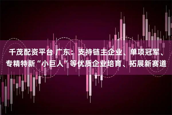 千茂配资平台 广东：支持链主企业、单项冠军、专精特新“小巨人”等优质企业培育、拓展新赛道